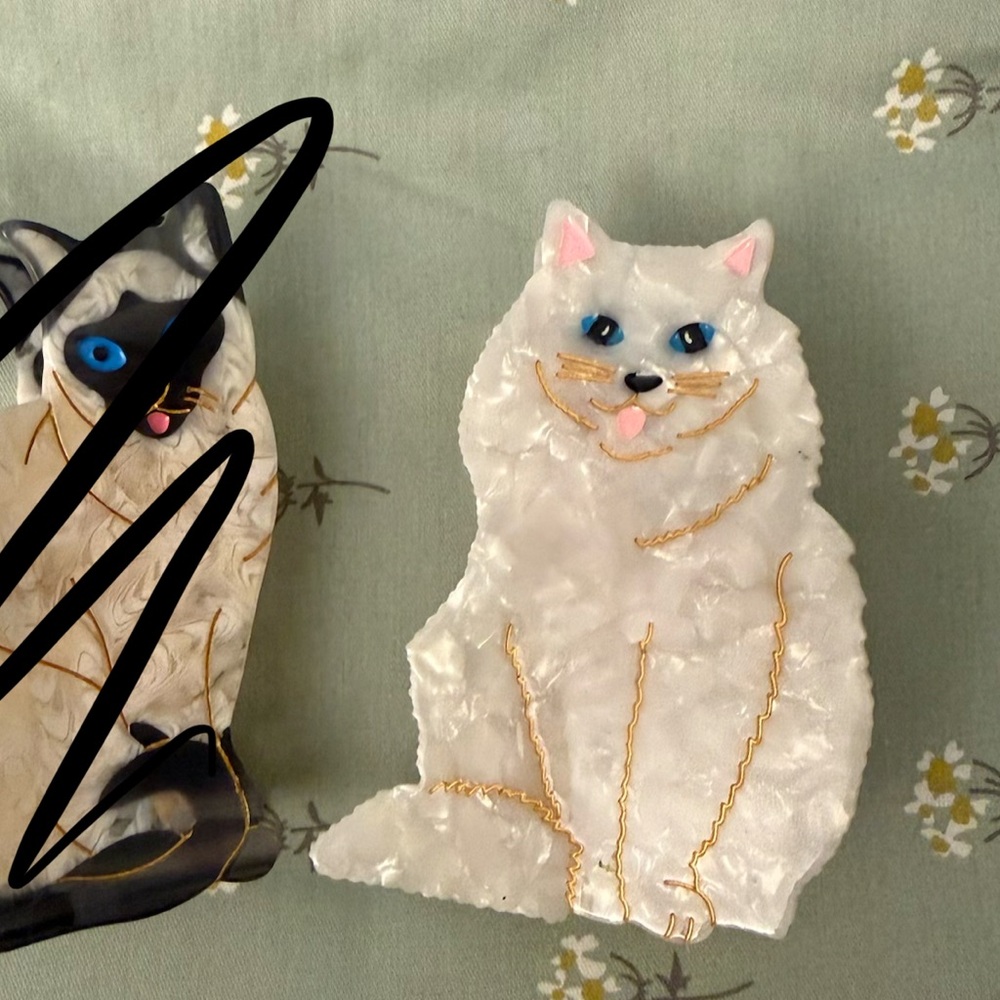 Solar eclipse cat clip